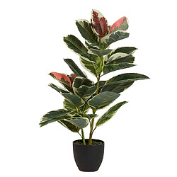Alexandra House Living Plante Dieffenbachia Maculata 50X50X85 Cm