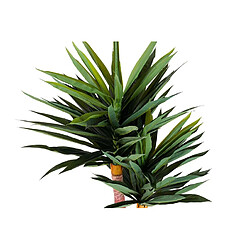 Alexandra House Living Yucca gloriosa en pot 55 x 55 x 145 cm