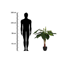 Alexandra House Living Plante de taro en pot 95 x 95 x 120 cm
