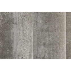 Paris prix 15712-106 - 160x230 cm - Gris pas cher