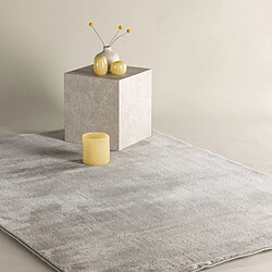 Avis Paris prix 15712-106 - 160x230 cm - Gris