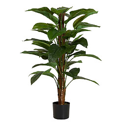 Alexandra House Living Plante Aureum avec pot 65 x 65 x 125 cm