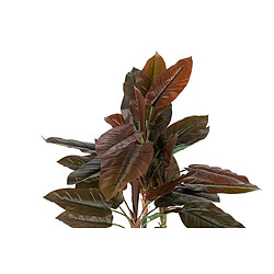 Alexandra House Living Cordyline en pot 80 x 80 x 110 cm
