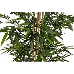 Alexandra House Living Plante de bambou en pot 80 x 80 x 192 cm