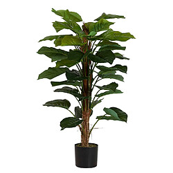 Alexandra House Living Plante Rhadhidophora Aureum 65X65X140 Cm