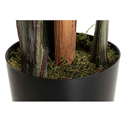 Alexandra House Living Plante paradis 65 x 65 x 193 cm