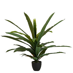 Alexandra House Living Dracaena fragrans en pot 130 x 40 x 21 cm