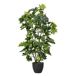 Alexandra House Living Plante Schefflera Arboricola 50X50X95 Cm