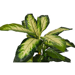 Alexandra House Living Dieffenbachia à pois avec pot 55 x 55 x 130 cm