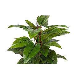 Alexandra House Living Plante Aureum avec pot 65 x 65 x 125 cm