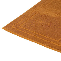Atmosphera Tapis de Bain Confort 50x70cm Cannelle