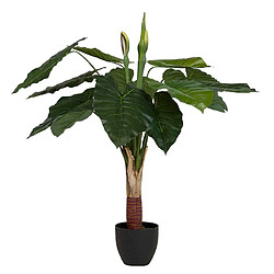 Alexandra House Living Plante de taro en pot 95 x 95 x 120 cm