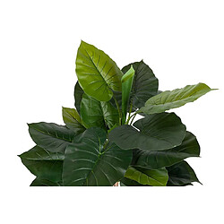 Alexandra House Living Plante de taro en pot 80 x 80 x 133 cm