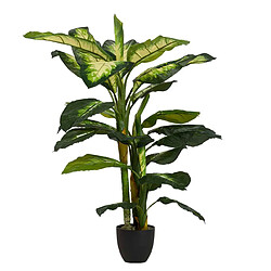 Alexandra House Living Dieffenbachia à pois avec pot 55 x 55 x 130 cm