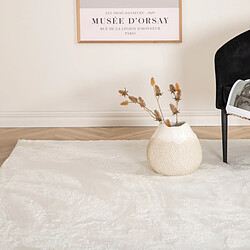 Avis Paris prix Blanca - 160x230 cm - Blanc