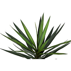 Alexandra House Living Yucca en pot 70x70x70 cm