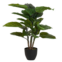 Alexandra House Living Plante Aureum avec pot 65 x 65 x 88 cm