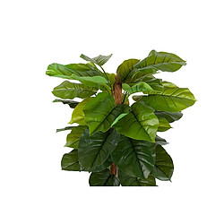 Alexandra House Living Plante Rhadhidophora Aureum 65X65X140 Cm