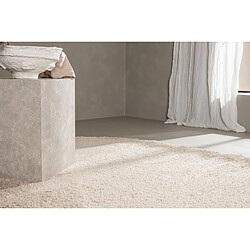 Paris Prix Tapis Déco Ovale Walter 240x340cm Beige pas cher