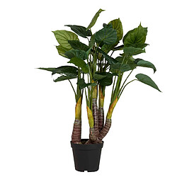 Alexandra House Living Plante de taro en pot 55 x 55 x 125 cm