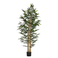 Alexandra House Living Plante de bambou en pot 80 x 80 x 192 cm