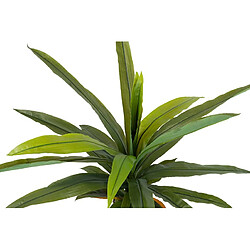 Alexandra House Living Dracaena fragrans en pot 130 x 40 x 21 cm