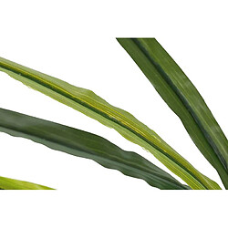 Alexandra House Living Plante d'orchidée Cymbidium 60 x 60 x 100 cm pas cher