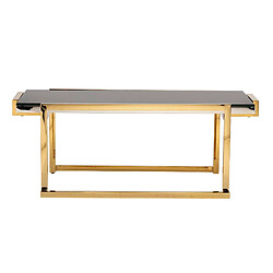 Alexandra House Living Table basse Novosibirsk en acier inoxydable 120 x 60 x 45 cm