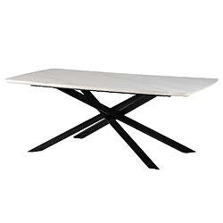 Alexandra House Living Table de salle à manger Moncton en métal et céramique 200 x 100 x 75 cm