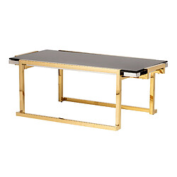 Alexandra House Living Table basse Novosibirsk en acier inoxydable 120 x 60 x 45 cm