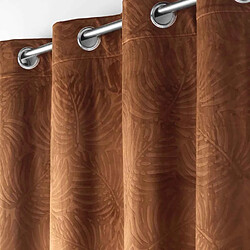 Paris Prix Rideau Occultant Analia 140x240cm Camel