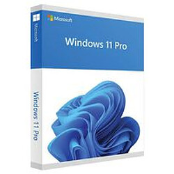 Microsoft Windows 11 Pro - Licence OEM DVD
