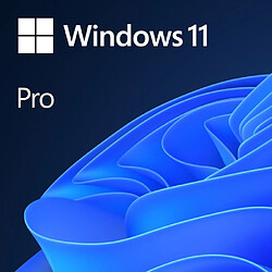 Microsoft Windows 11 Pro - Licence OEM DVD