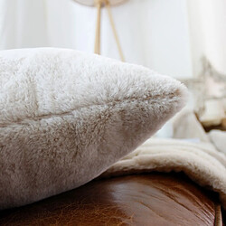 Coussin d'intérieur