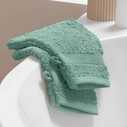 Douceur D'Interieur Lot de 2 Gants de Toilette Elegance 15x21cm Céladon pas cher
