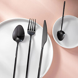 Paris Prix Ménagère 24 Pièces en Inox Irvin Brillant 27cm Noir