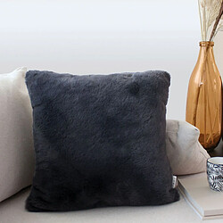 Coussin d'intérieur