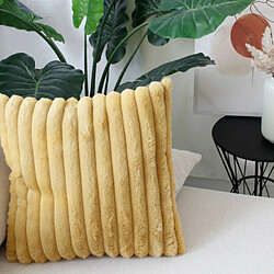 Coussin d'intérieur