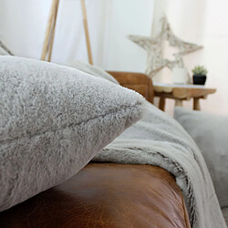 Coussin d'intérieur