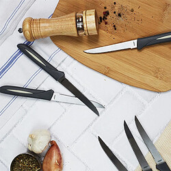 Acheter Paris Prix Lot de 6 Couteaux à Steak Inox 23cm Gris