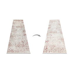 Avis RUGSX Tapis, tapis de couloir moderne DISTIN 0828A rose poudre blanc - Abstraction, vintage, franges 80x250 cm