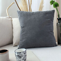 Coussin d'intérieur