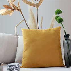 Coussin d'intérieur