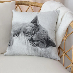Avis Paris Prix Coussin Déco Chat Vickie 40x40cm Écru