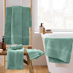 Avis Douceur D'Interieur Lot de 2 Gants de Toilette Elegance 15x21cm Céladon