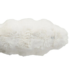 Coussin d'intérieur