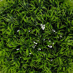 Atmosphera Boule d'Herbe Artificielle Carly 18cm Vert