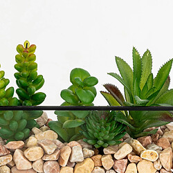 Atmosphera Terrarium Hexagonal en Verre Pia 20cm Noir