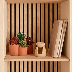 Atmosphera Plantes Grasses Artificielles en Pot Wonj 22cm Terracotta