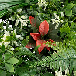 Atmosphera Carré Végétal Artificiel Tropical Izy 50cm Vert